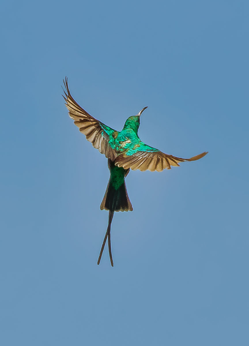 Commercial Property for Sale in Napier Western Cape